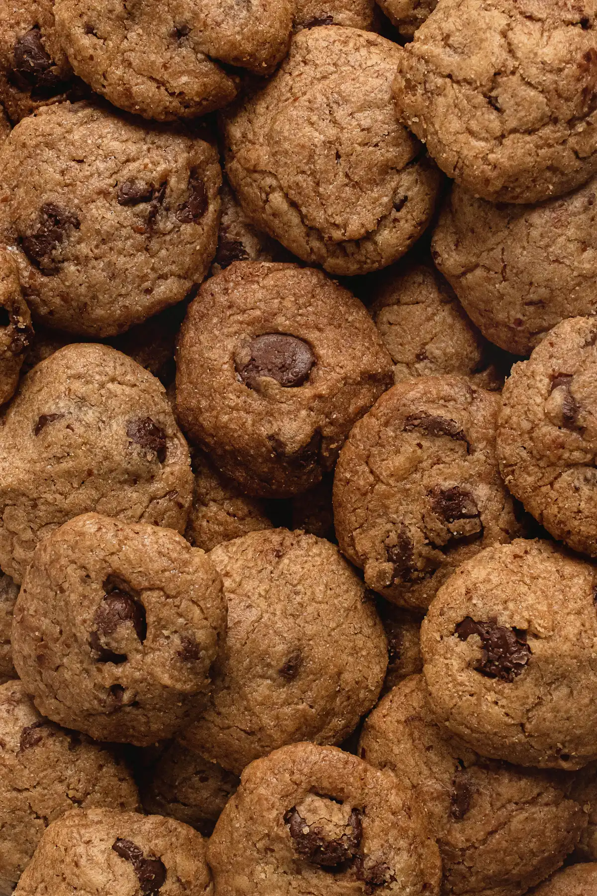 Galletas caseras con chispas de chocolate. Crujientes y deliciosas.